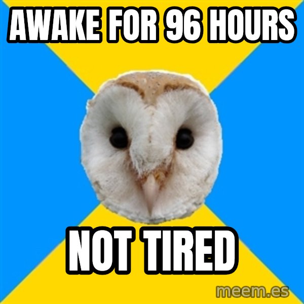 Bipolar Owl meme: awake for 96 hours / not tired