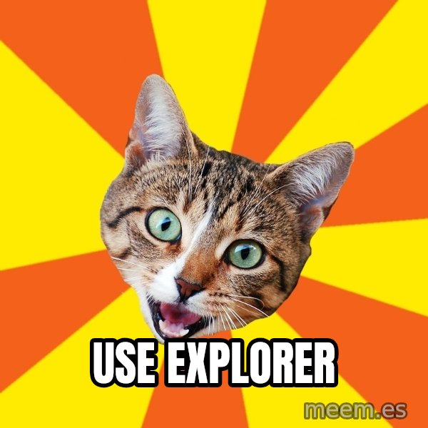 Bad Advice Cat meme: Use explorer