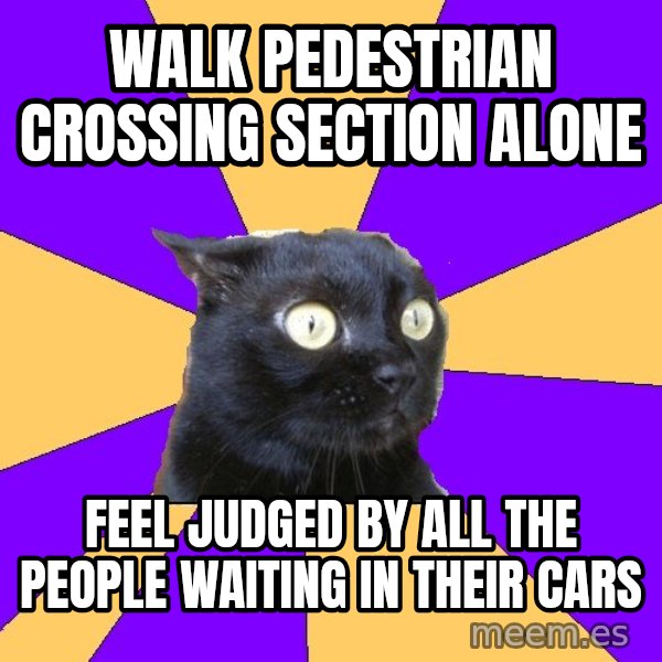 Anxiety Cat meme: walk pedestrian crossing section alone / feel judged by all the people waiting in their cars
