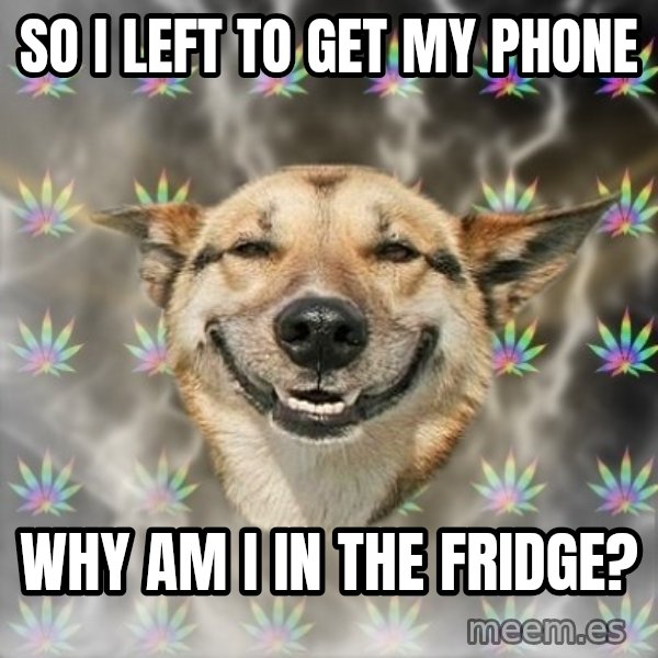 Stoner Dog meme: so i left to get my phone / why am i in the fridge?