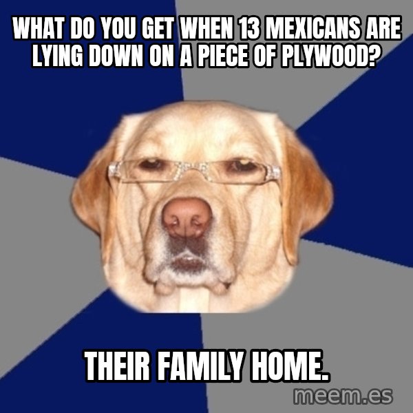 Racist Dog meme: What do you get when 13 mexicans are lying down on a piece of plywood? / Their family home.