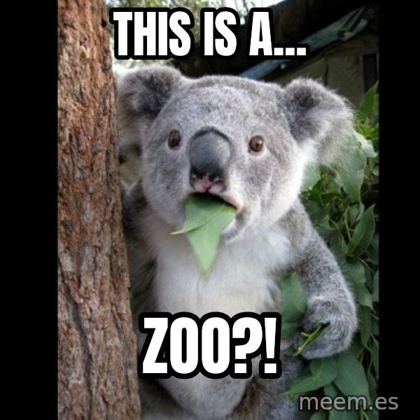 Koala can't believe it meme: This is a... / Zoo?!