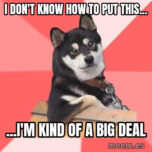 Cool Dog meme: I don't know how to put this... / ...i'm kind of a big deal