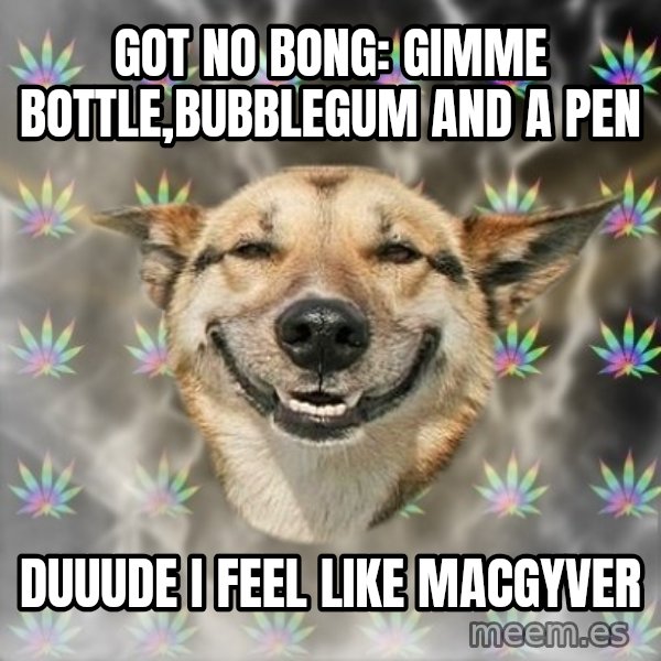 Stoner Dog meme: got no bong: Gimme bottle,bubblegum and a pen / Duuude i feel like macgyver