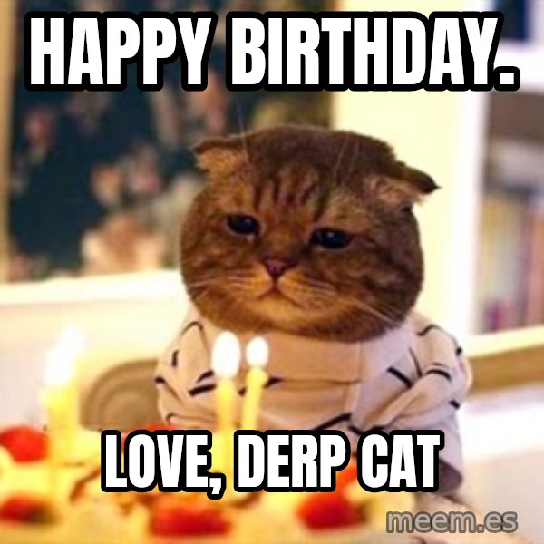 Birthday Cat meme: HAPPY BIRTHDAY. / LOVE, DERP CAT