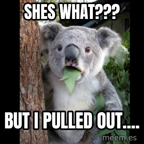 Koala can't believe it meme: shes what??? / but i pulled out....