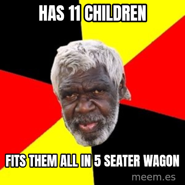 Aboriginal meme: Has 11 children / fits them all in 5 seater wagon