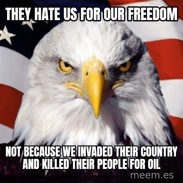 American Pride Eagle meme: They hate us for our freedom / not because we invaded their country and killed their people for oil