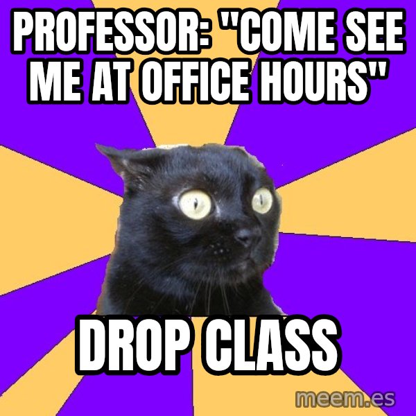 Anxiety Cat meme: professor: "come see me at office hours" / drop class