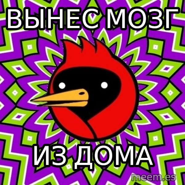 Omsk Crow meme: вынес мозг / из дома