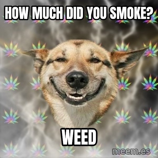 Stoner Dog meme: how much did you smoke? / weed