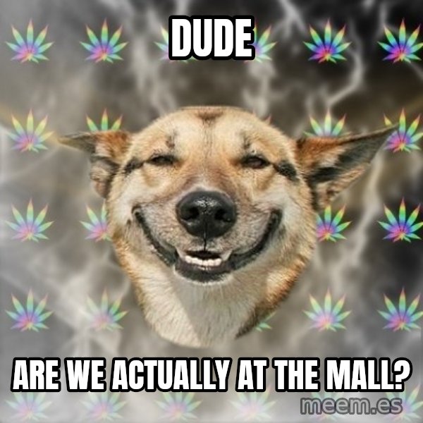 Stoner Dog meme: Dude / are we actually at the mall?