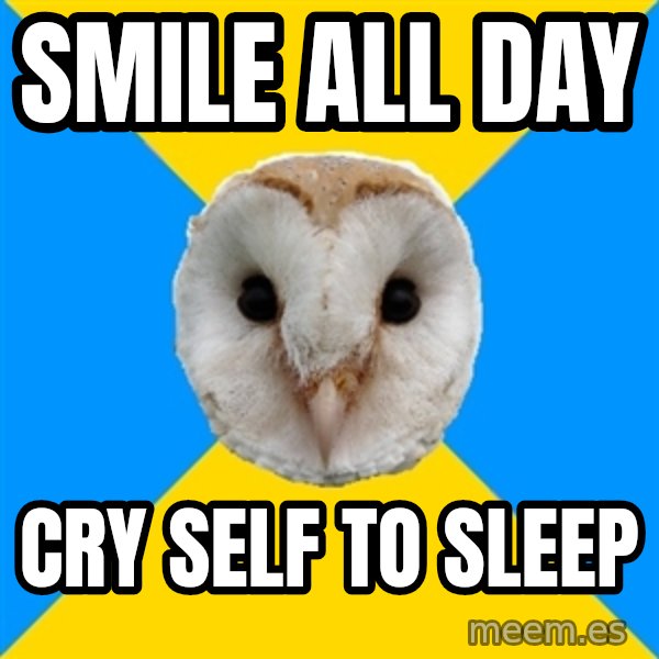 Bipolar Owl meme: Smile all day / cry self to sleep