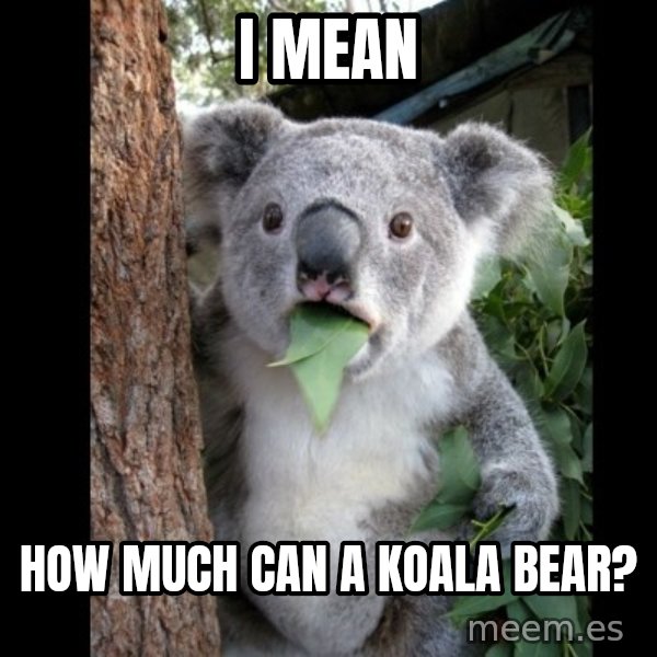 Koala can't believe it meme: I Mean / How Much Can A Koala Bear?