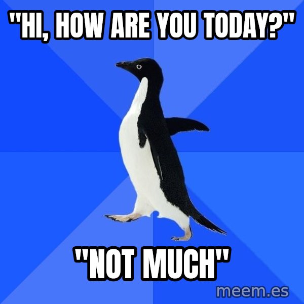 Socially Awkward Penguin meme: "Hi, How are you Today?" / "Not Much"