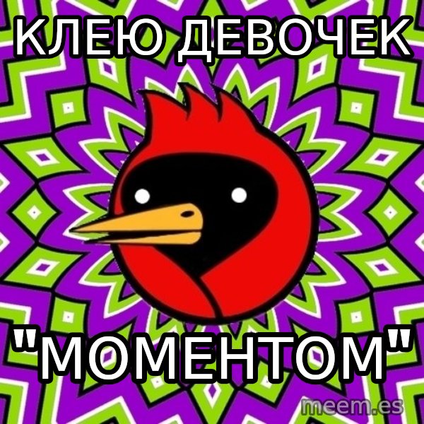 Omsk Crow meme: клею девочек / "моментом"