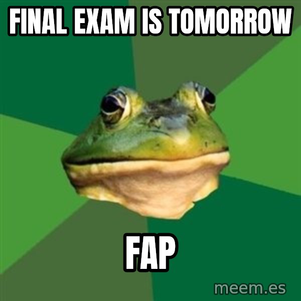Foul Bachelor Frog meme: final exam is tomorrow / fap