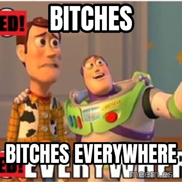 Toy Story Everywhere meme: Bitches / Bitches everywhere