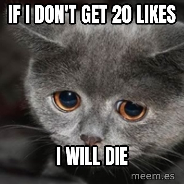 Sadcat meme: if i don't get 20 likes / i will die