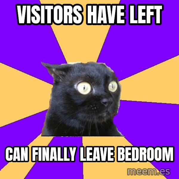 Anxiety Cat meme: VISITORS HAVE LEFT / CAN FINALLY LEAVE BEDROOM