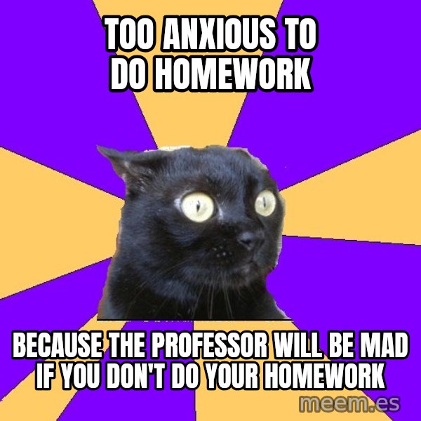 Anxiety Cat meme: Too anxious to do homework / because the professor will be mad if you don't do your homework