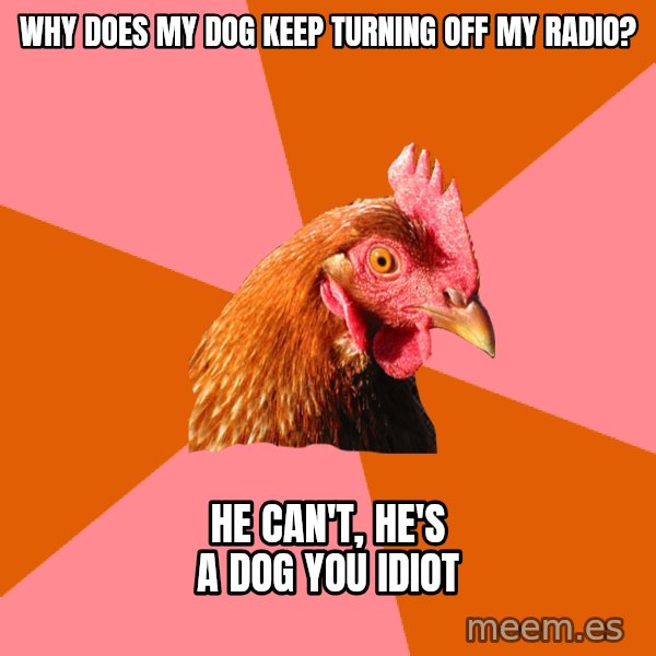 Anti Joke Chicken meme: why does my dog keep turning off my radio? / he can't, he's a dog you idiot