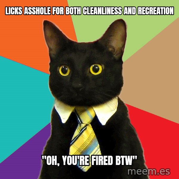 Business Cat meme: licks asshole for both cleanliness and recreation / "oh, you're fired BTW"