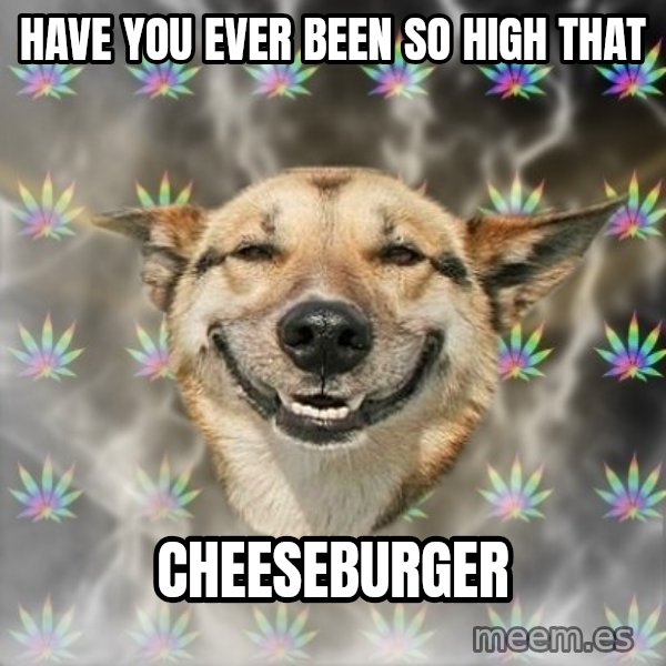 Stoner Dog meme: have you ever been so high that / cheeseburger
