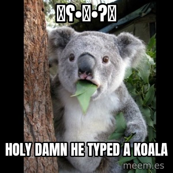 Koala can't believe it meme: ლʕ•ᴥ•ʔლ / holy damn he typed a koala