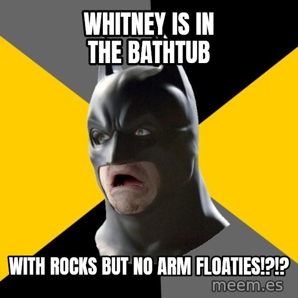 Bad Factman meme: whitney is in the bathtub / with rocks but no arm floaties!?!?