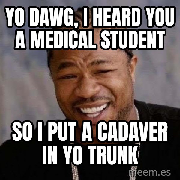 Yo Dawg meme: YO DAWG, I HEARD YOU A MEDICAL STUDENT / SO I PUT A CADAVER IN YO TRUNK