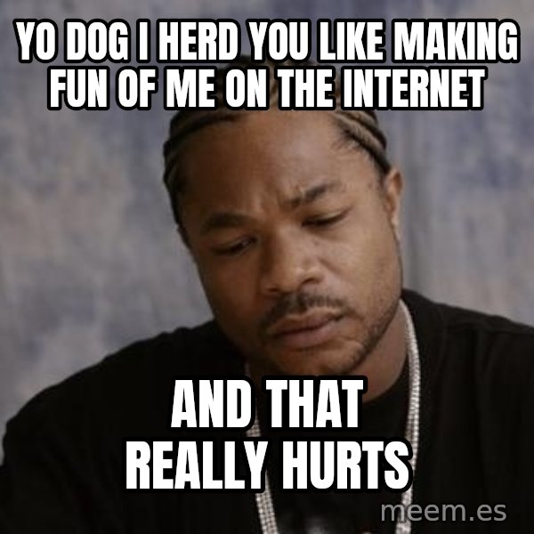 Yo Dawg meme: yo dog i herd you like making fun of me on the internet / and that really hurts