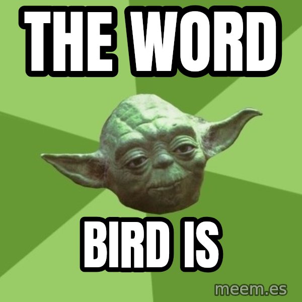 Advice Yoda Gives meme: The word / bird is