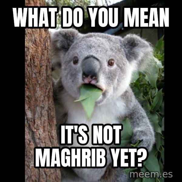 Koala can't believe it meme: what do you mean / it's not maghrib yet?