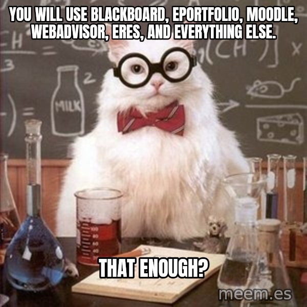 Chemistry Cat meme: you will use blackboard, eportfolio, moodle, webadvisor, eres, and everything else. / that enough?