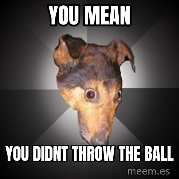 Depression Dog meme: you mean / you didnt throw the ball