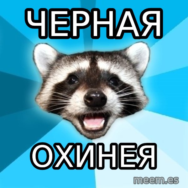 Lame Pun Coon meme: Черная / Охинея