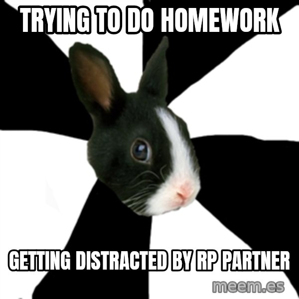 Roleplaying Rabbit meme: Trying to do homework / getting distracted by rp partner