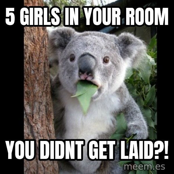 Koala can't believe it meme: 5 girls in your room / You didnt get laid?!