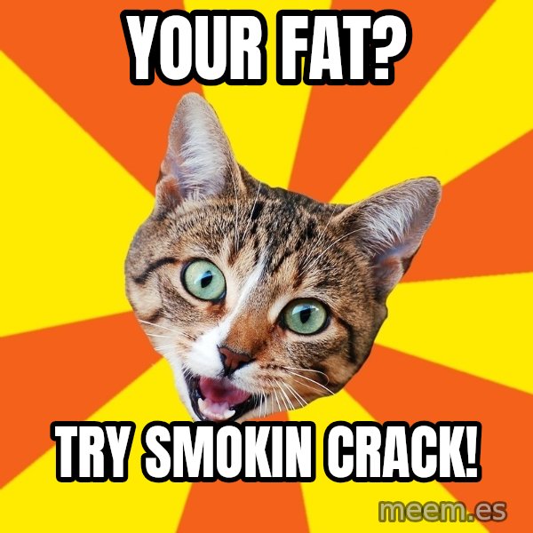 Bad Advice Cat meme: your fat? / try smokin crack!