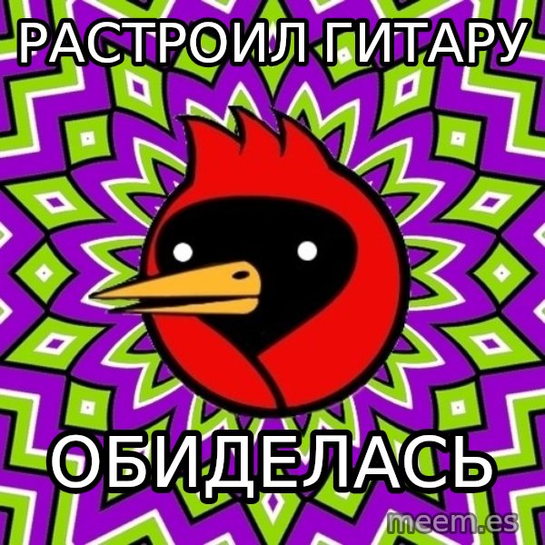 Omsk Crow meme: Растроил гитару / обиделась
