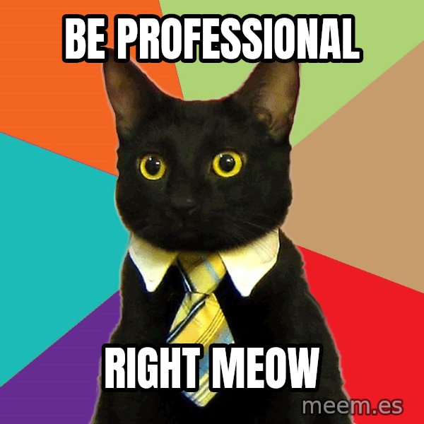 Business Cat meme: BE PROFESSIONAL / RIGHT MEOW