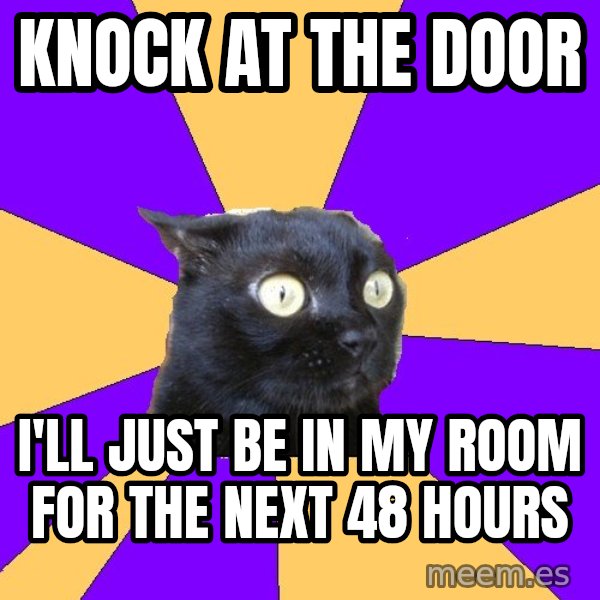 Anxiety Cat meme: knock at the door / i'll just be in my room for the next 48 hours