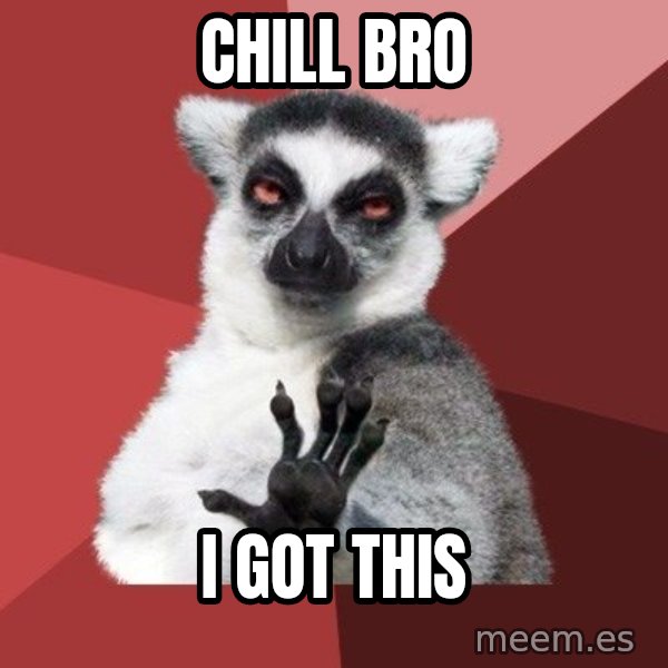 Chill Out Lemur meme: Chill BRO / I GOT THIS
