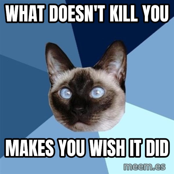 Chronic Illness Cat meme: What doesn't kill you / makes you wish it did