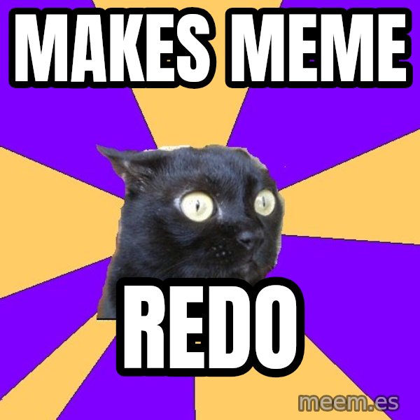 Anxiety Cat meme: makes meme / redo