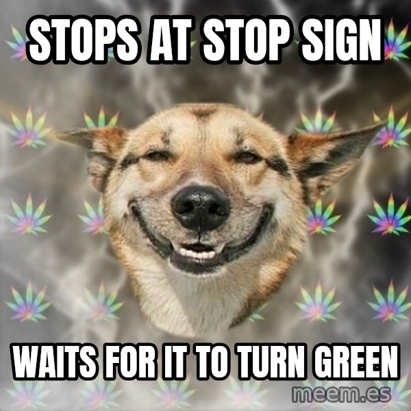 Stoner Dog meme: Stops at Stop Sign / waits for it to turn green