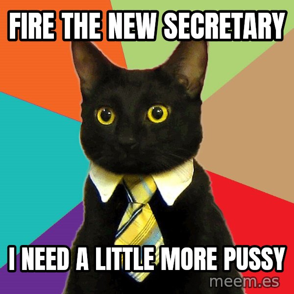 Business Cat meme: Fire the new secretary / I need a little more pussy