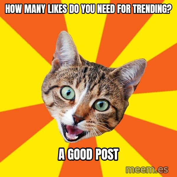 Bad Advice Cat meme: how many likes do you need for trending? / a good post