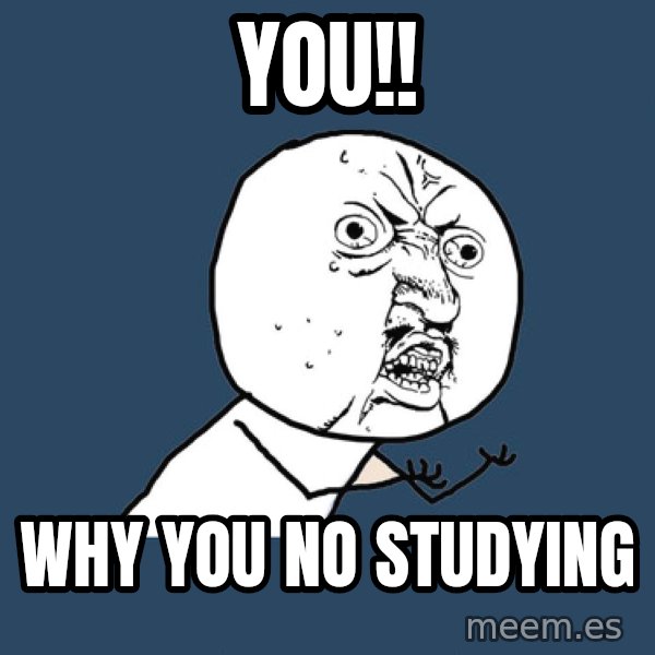 Y U No meme: YOU!! / WHY you no studying